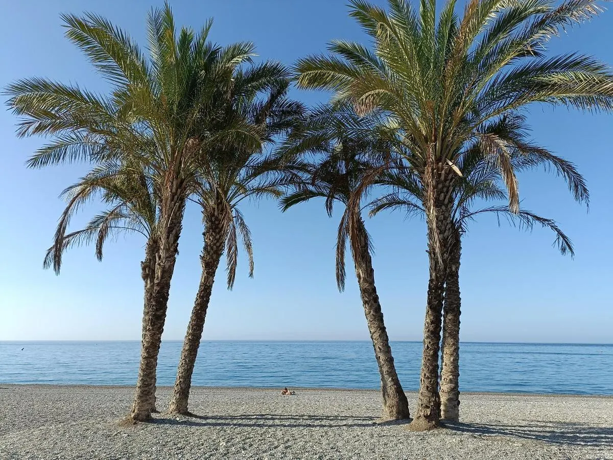 Apartamento Maravilla Tropical - La Herradura Almuñécar 0*,  España